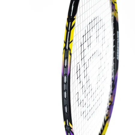 Ракетка бадм. TORRES Carbon PRO6, BD20521,для продв., стерж/обод из карбона,со струнами, фиол за 4&nbsp;477.80 ₽ купить в Улан-Удэ