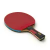 Ракетка для н/т DOUBLE FISH 7A+C, для професс.,ITTF Appr.,накл.2,1мм,+ 2 мяча V40+мм ITTF Appr за 3&nbsp;559.80 ₽ купить в Улан-Удэ