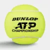 Мяч теннисный Dunlop ATP Championship 4B, 601627, уп.4ш, одобр. ITF, нат.резина,фетр. за 1&nbsp;242.70 ₽ купить в Улан-Удэ