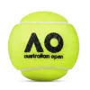 Мяч теннисный Dunlop Australian Open, 601601, уп..3 шт, одобр.ITF,фетр,нат.резина, желтый за 1&nbsp;171.30 ₽ купить в Улан-Удэ