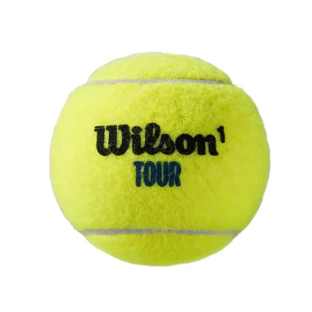 Мяч теннисный WILSON Tour Premier All Court, WRT119400, одобр.ITF, фетр, нат.резина,. уп.4 шт за 1&nbsp;676.20 ₽ купить в Улан-Удэ